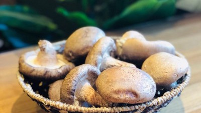 향긋함 가득! 1kg 국산 표고버섯 득템 후기🍄 (feat. 초간단 요리팁)