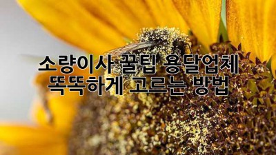 소량이사 꿀팁🍯: 용달업체 똑똑하게 고르는 방법!