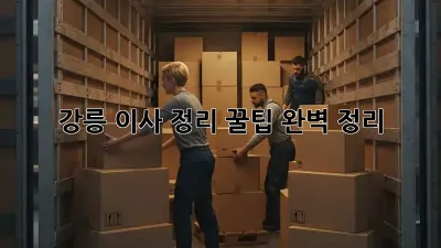 강릉 이사 정리, 꿀팁 완벽 정리!